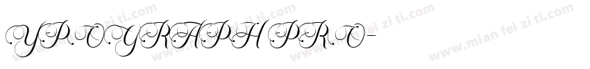 YPOGRAPH PRO字体转换